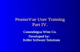PromoVue User Training Part IV.
