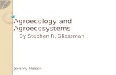 Agroecology  and  Agroecosystems By Stephen R.  Gliessman