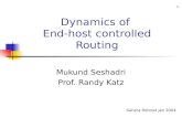 Dynamics of  End-host controlled Routing