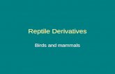 Reptile Derivatives