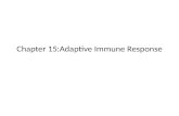 Chapter 15:Adaptive Immune Response