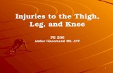 Injuries to the Thigh, Leg, and Knee PE 236 Amber  Giacomazzi  MS, ATC