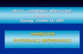 IB 371 – GENERAL MYCOLOGY Lecture 14 Tuesday,  October 14, 2003