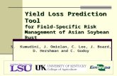 Yield Loss Prediction Tool  for Field-Specific Risk Management of Asian Soybean Rust