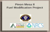 Pinon Mesa II Fuel Modification Project