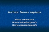 Archaic  Homo sapiens