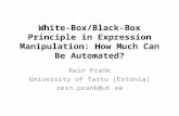 White-Box/Black-Box Principle in Expression Manipulation: How Much Can Be Automated?