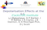 Depolarisation Effects at the ILC