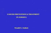 CANCER PREVENTION & TREATMENT                                    IN JAMAICA    Wendel C. Guthrie