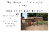 The danger of a single story : What is it like to live in Zambia ?