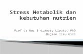 Stress  Metabolik dan kebutuhan nutrien