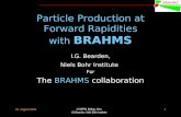 Particle Production at Forward Rapidities with  BRAHMS
