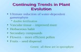 Continuing Trends in Plant Evolution