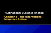 Chapter 3   The International Monetary System