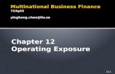 Multinational Business Finance 723g33 yinghong.chen@liu.se