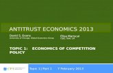Topic 1:Economics of Competition Policy