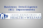 Business Intelligence  ( BI)  Improvements