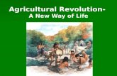 Agricultural Revolution-  A New Way of Life