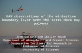 UAV observations of the wintertime boundary layer over the Terra Nova Bay  polynya