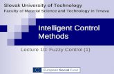 Intelligent Control Methods