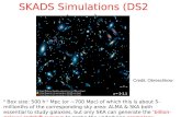 SKADS Simulations (DS2 team)