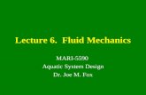 Lecture 6.  Fluid Mechanics