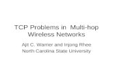 TCP Problems in  Multi-hop Wireless Networks