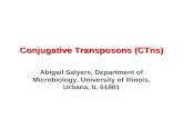 Conjugative Transposons (CTns)