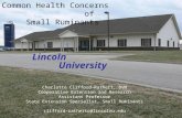 Lincoln           University