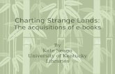 Charting Strange Lands: The acquisitions of e-books
