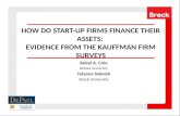 How Do Start-Up Firms Finance Their Assets:  Evidence From the Kauffman Firm Surveys