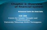 Chapter 1: Overview  of financial system