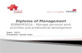 Diploma of Management BSBWOR501A  – Manage personal work priorities and professional development