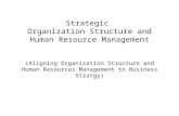 Strategic  Organization Structure and Human Resource Management (Aligning Organization Structure and Human Resources Management to Business Stratgy)