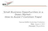Small Business Opportunities in a Down Market :  How to Avoid 7  Common Traps !