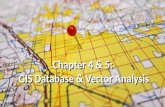 Chapter  4 & 5:  GIS Database & Ve ctor Analysis