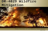 DR-4029 Wildfire Mitigation