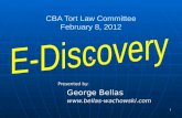 CBA Tort Law Committee February 8, 2012