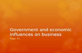 Government and economic influences on business