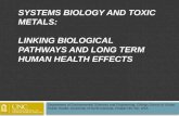 Systems biology and toxic metals:   Linking  biological pathways and  long term human  health effects