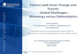 Future Land Cover Change and Forests  - Global Challenges -  Bioenergy versus Deforestation