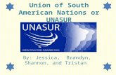 Union of South American Nations or UNASUR