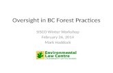 Oversight in BC Forest Practices