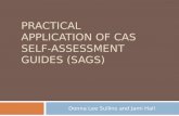 practical application of CAS Self-Assessment Guides (SAGS)