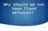 Why should we not have flood defences?