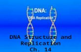 DNA Structure and Replication Ch. 14