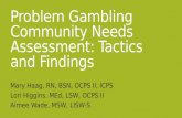 Problem Gambling Community Needs Assessment: Tactics and Findings