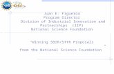 Juan E. Figueroa Program Director  Division of Industrial Innovation and Partnerships  (IIP) National Science Foundation