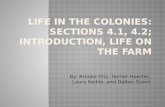 Life in The Colonies: Sections 4.1, 4.2; Introduction, Life on the Farm