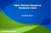 Agile Startup Squad at  Kimberly-Clark
